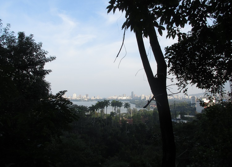 Vista do Parque Lage