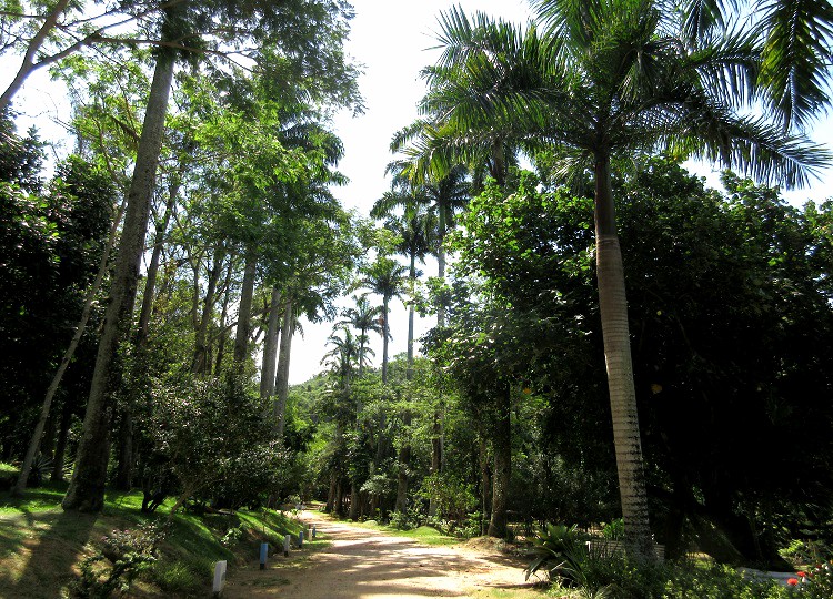 Parque Municipal de Rio das Ostras