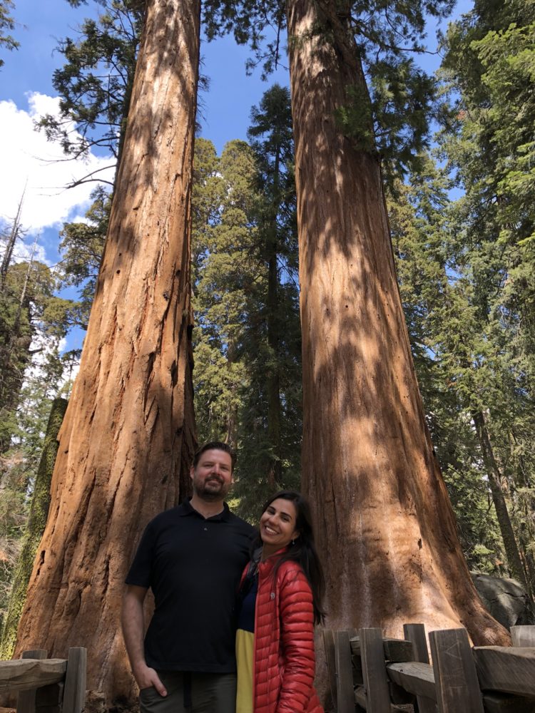 Sequoia National Park - redwood