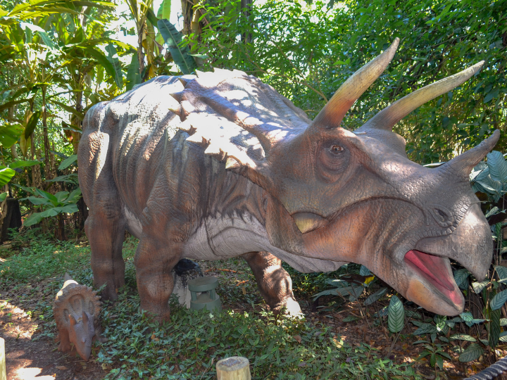 Vale dos Dinossauros Brasil