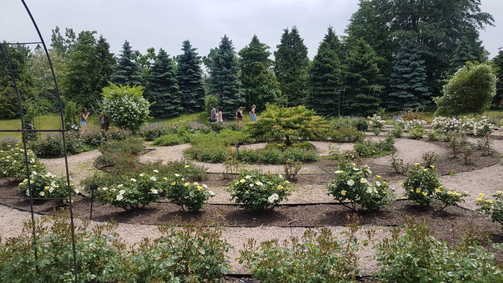 Rose Maze Botanical Garden Providence RI