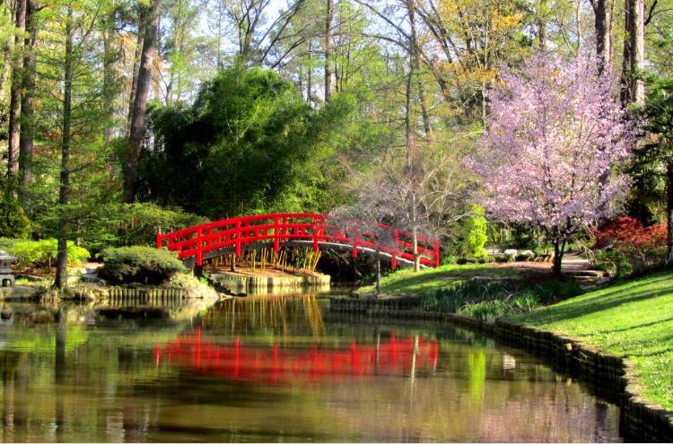 Ponte em jardim North Carolina