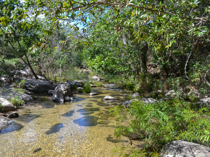 Córrego das Pedras na trilha da Cachoeira da Farofa