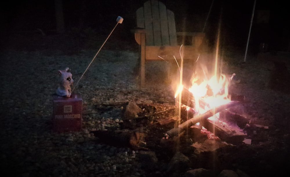 marshmallow by the fire