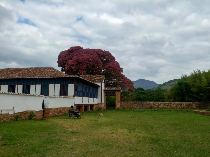 Fazenda Boa Esperança em Belo Vale Minas Gerais