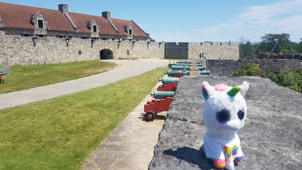 Fort Ticonderoga Canons