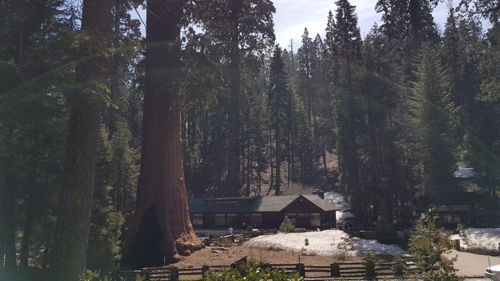 Vista do estacionamento do Sequoia National Park com o centro de informações e museu
