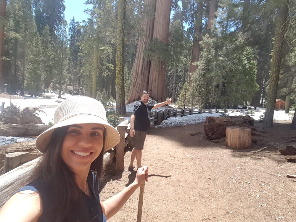 Uma das trilhas acessíveis do Sequoia National Park