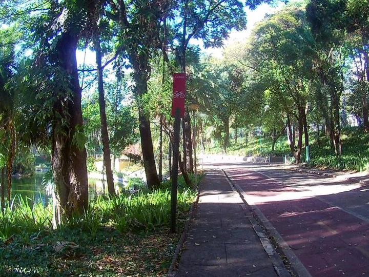 Ciclovia dentro do Parque Municipal de Belo Horizonte