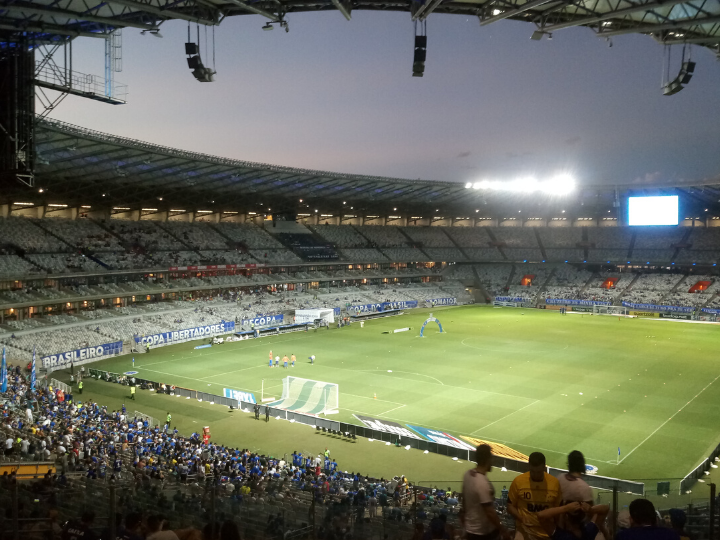 Torcida dentro do estádio Mineirão