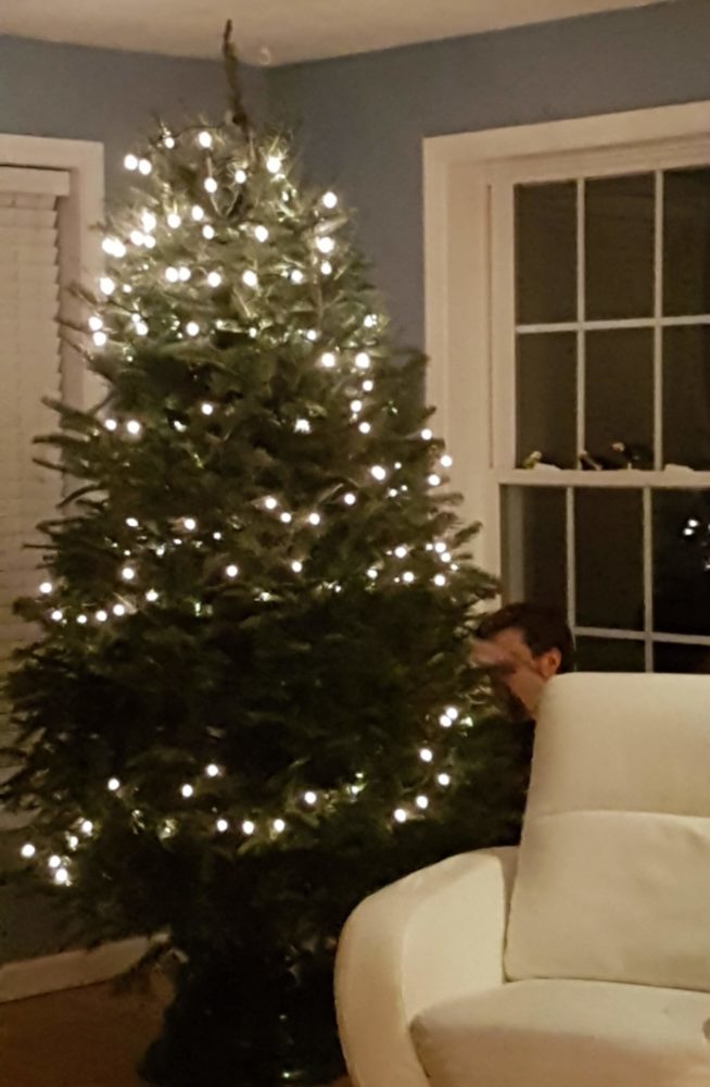 Colocando luzinhas no pinheiro de Natal