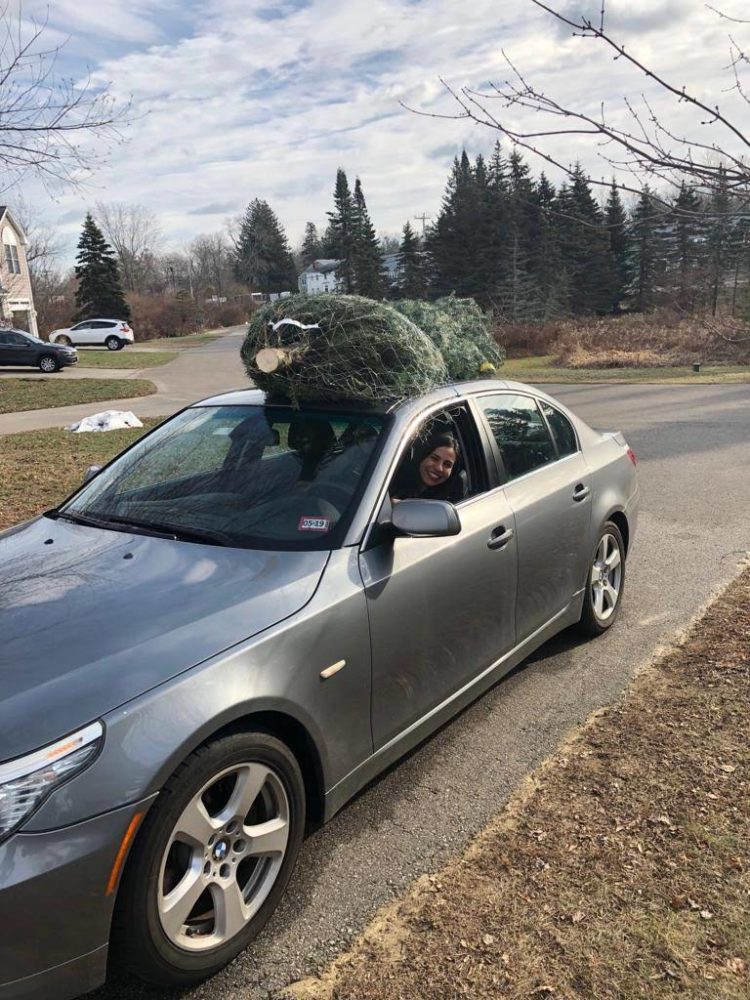 bringing christmas tree home