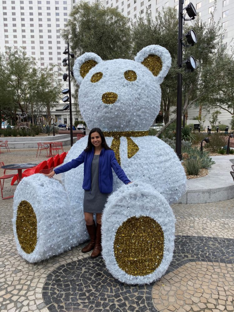 Urso natal