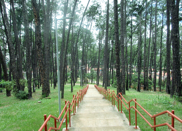 parque alberto simões sjc