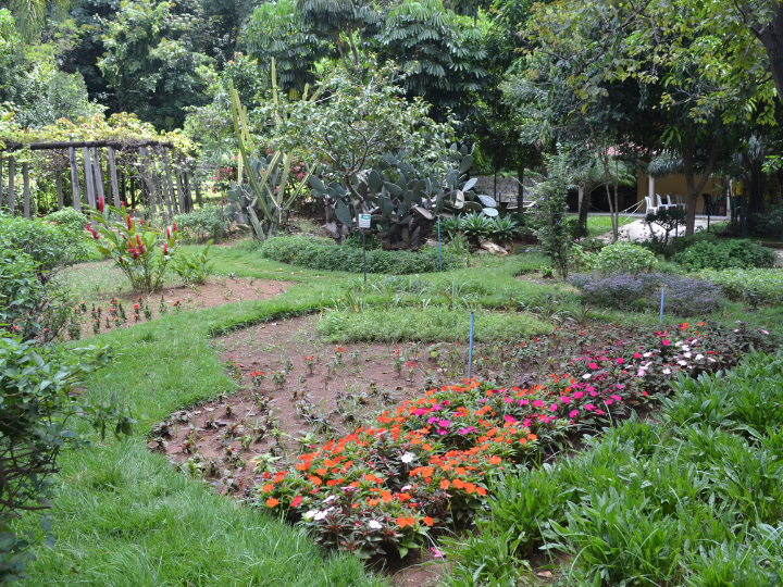 Jardim no Museu de Ciências Naturais da PUC Minas