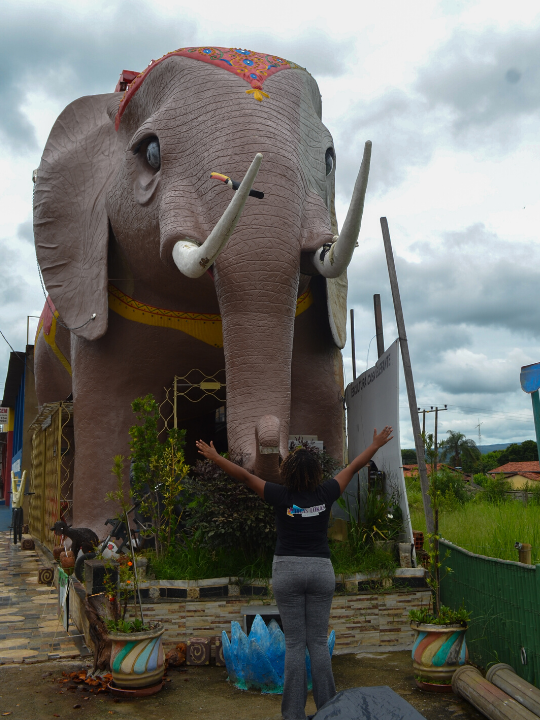 Casa Elefante na terra de Guimarães Rosa