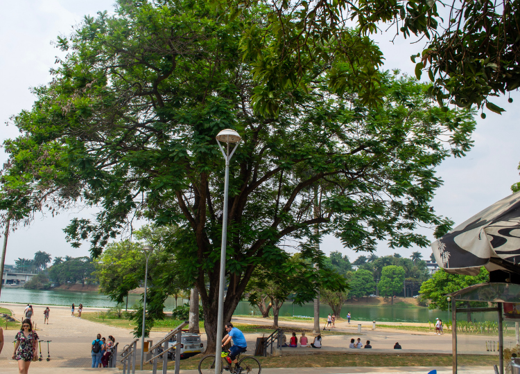 Orla da Lagoa da Pampulha em Belo Horizonte.