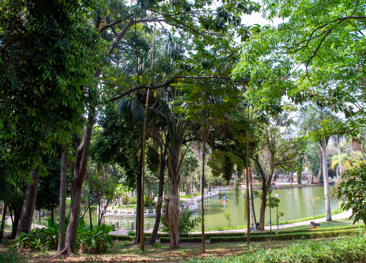 Parque Municipal Américo Renné Giannetti no Centro de Belo Horizonte.