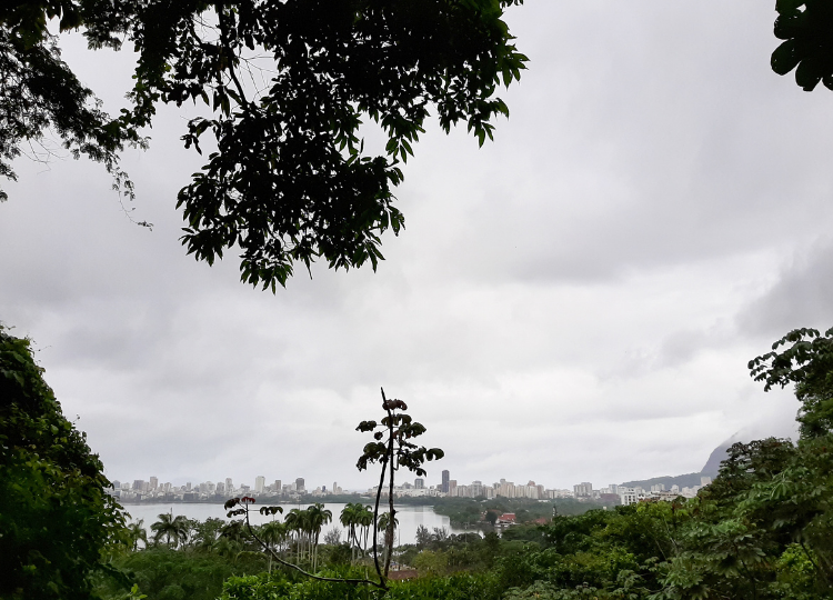 Vista da lagoa Rodrigo de Freitas no Parque Lage RJ