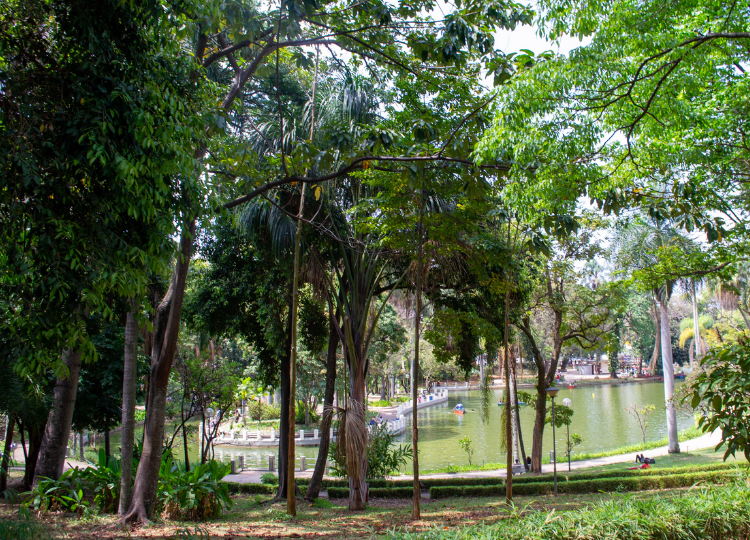 Parque Municipal de Belo Horizonte