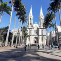 Free tour pelo Centro histórico de São Paulo