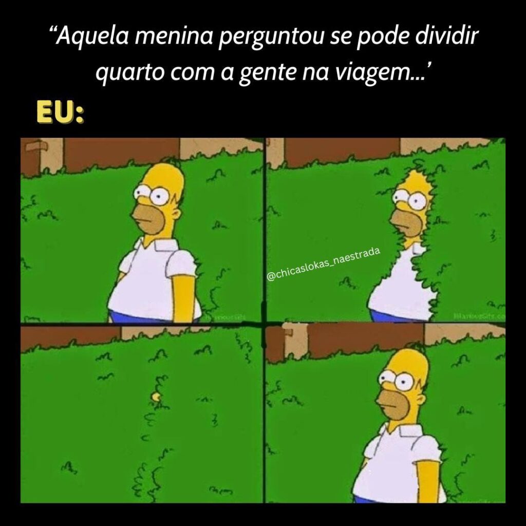 meme de viagem homer