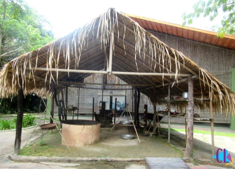 museu da amazônia manaus