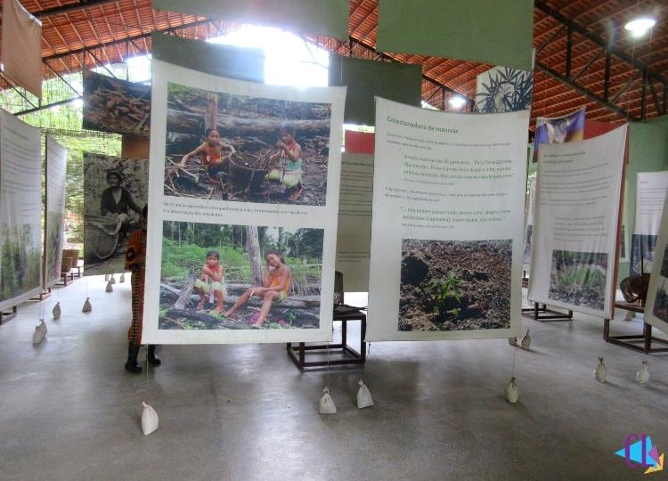 exposição museu da amazônia manaus