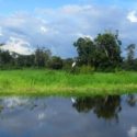 Passeio de 3 dias na Floresta Amazônica