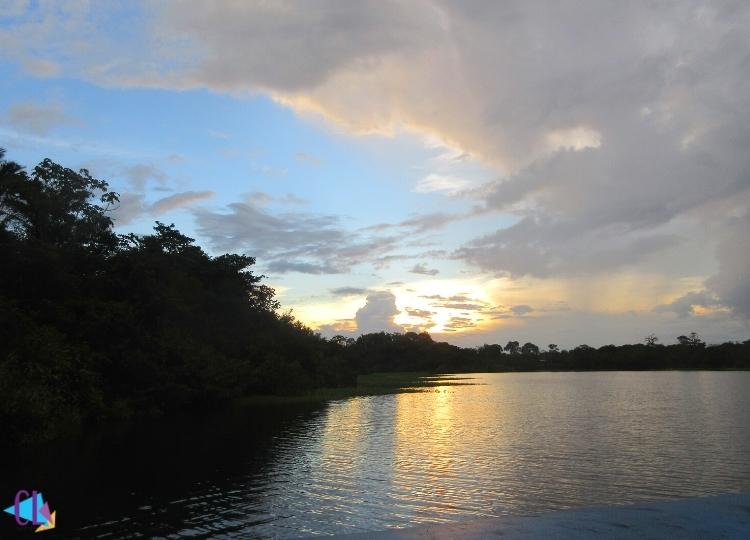 floresta amazônica manaus 