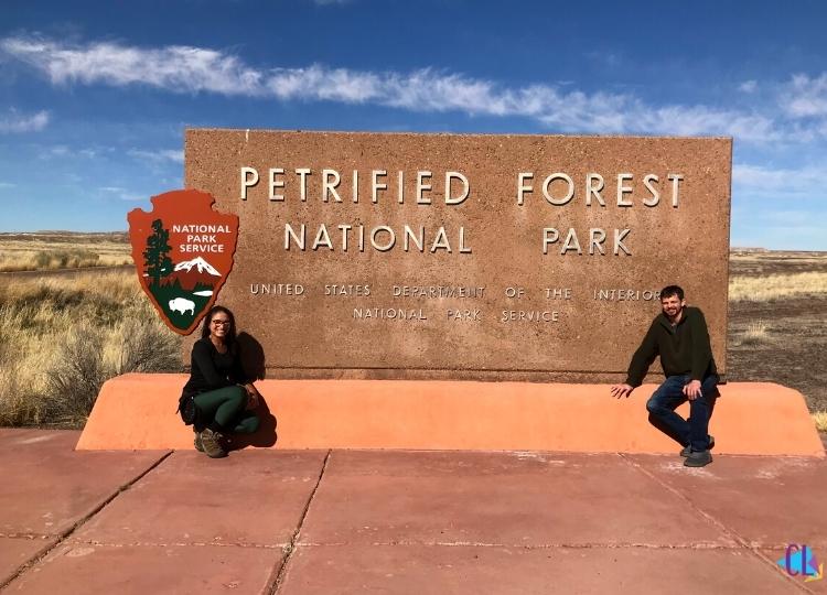 Floresta petrificada arizona petrified forest