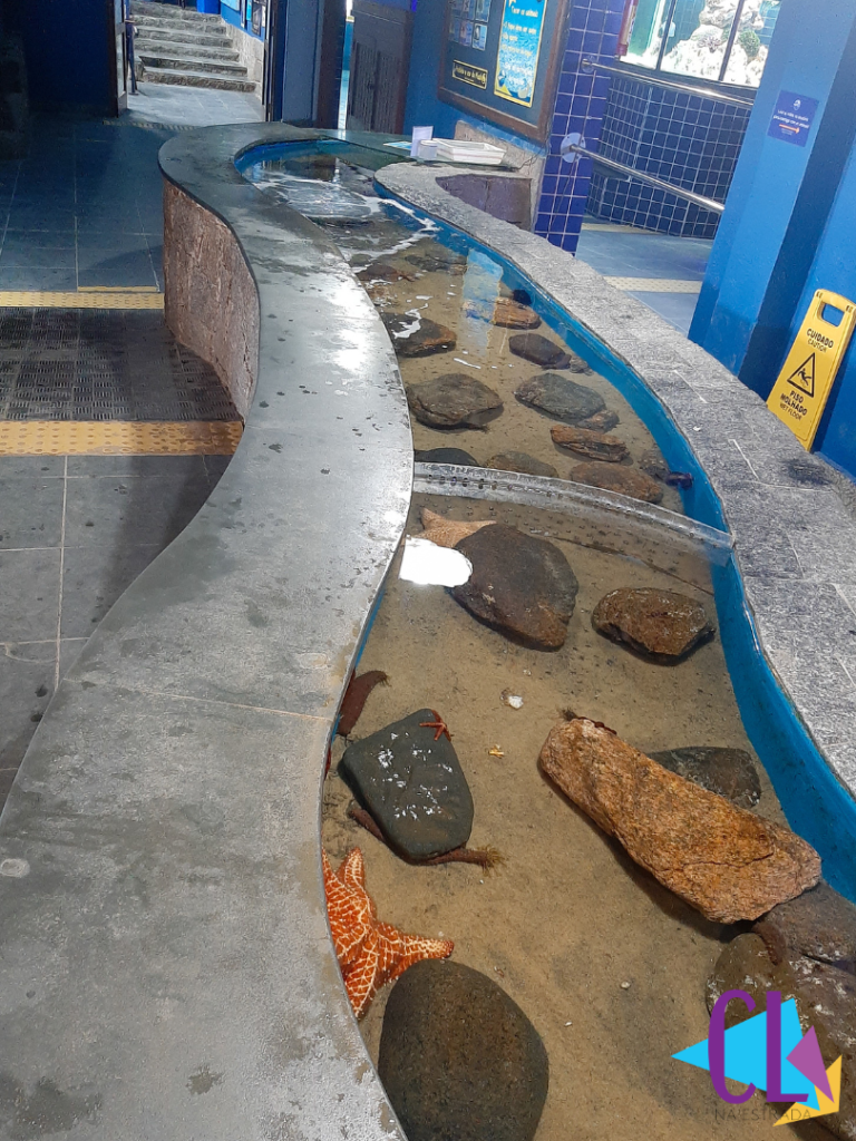 Tanque de contato no aquário de Ubatuba