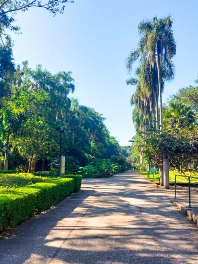 jardim botânico são paulo (1)