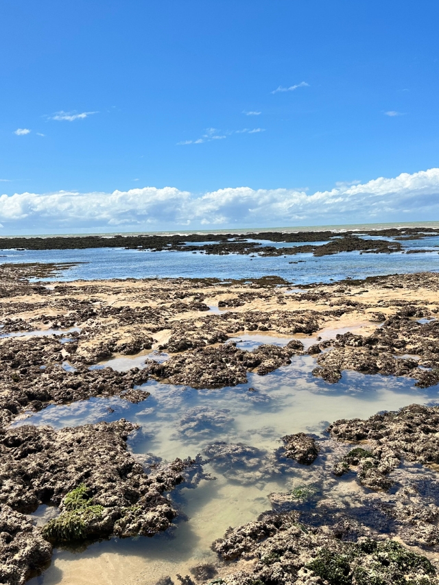 ilha da areia vermelha joão pessoa (2)