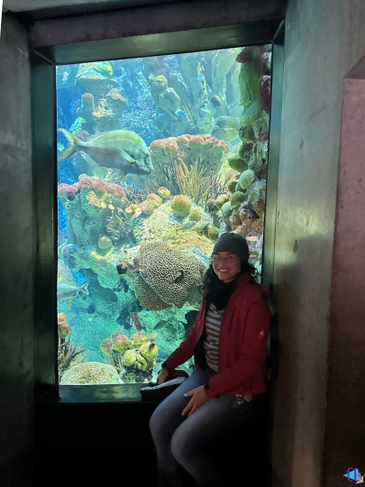 New england aquarium rampa
