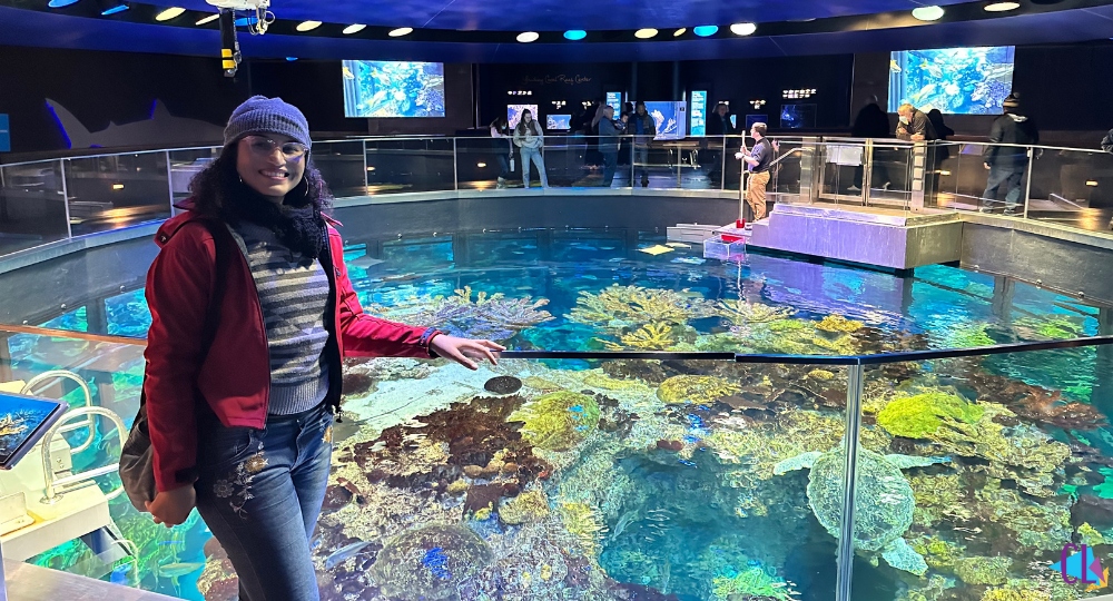 new england aquarium boston