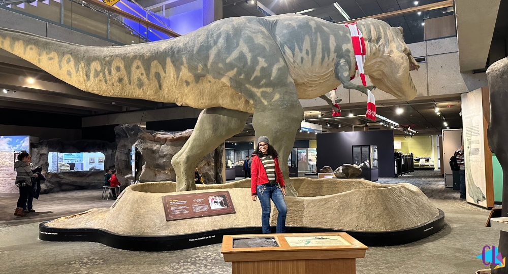 Museum of Science em Boston | Chicas Lokas na Estrada | Dicas de viagem