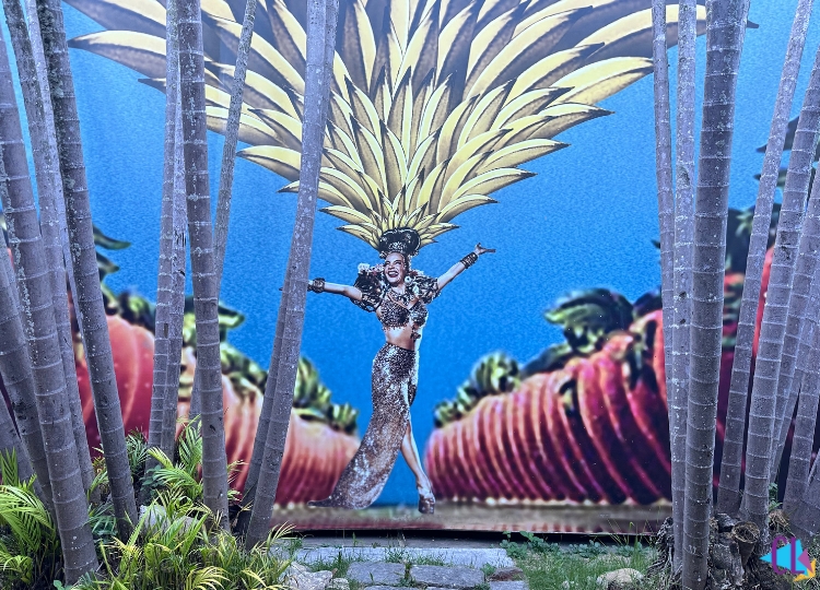 Museu carmen miranda (1)