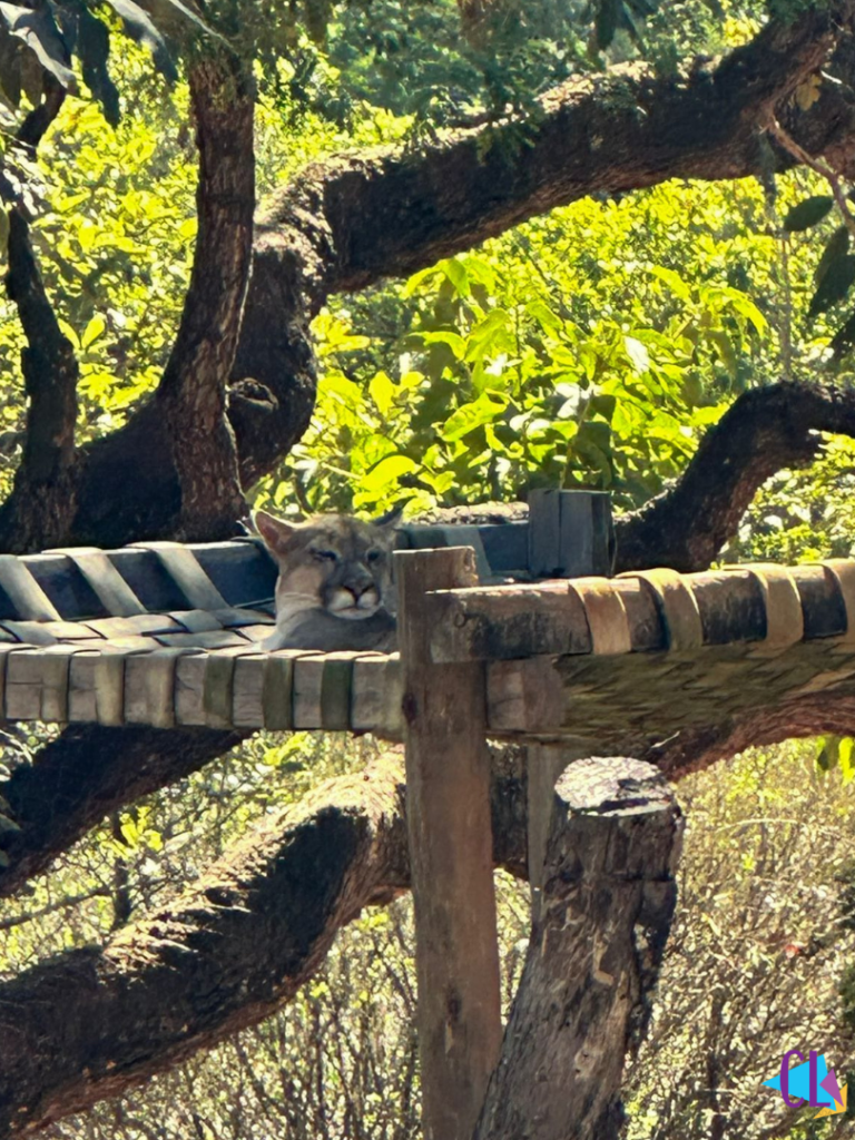 Zoológico de Belo Horizonte