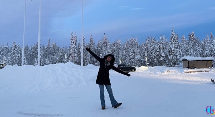 Frio Neve Proteja-se