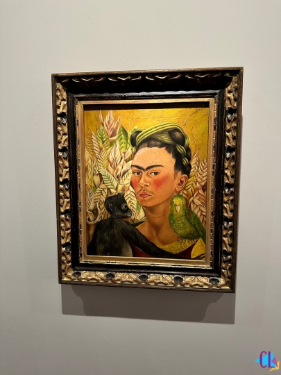 Obra de frida no malba em buenos aires