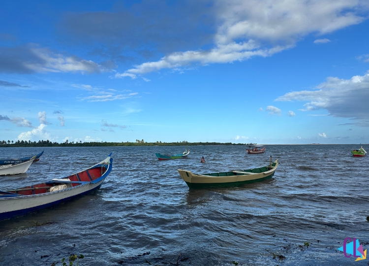 Brejo grande rio são francisco