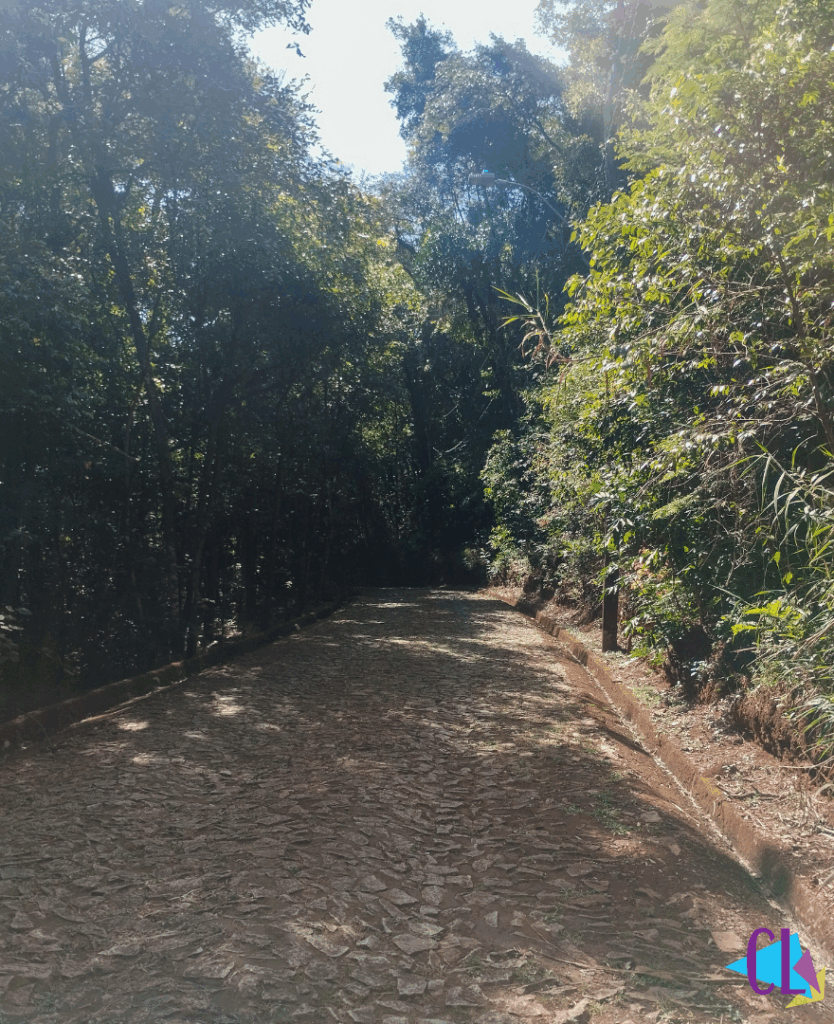 Trilha no Parque das Mangabeiras