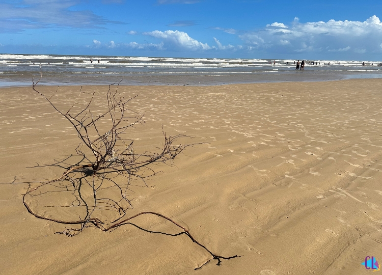 O que fazer em aracaju praia do robalo