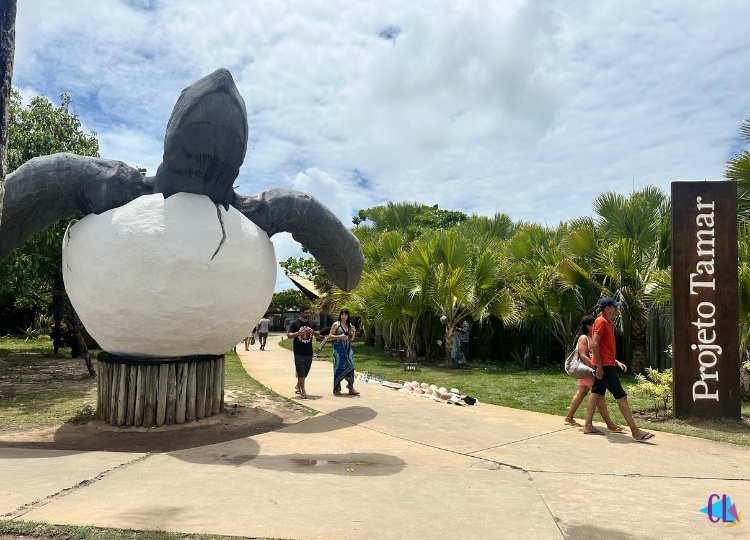O que fazer em aracaju oceanário de aracaju