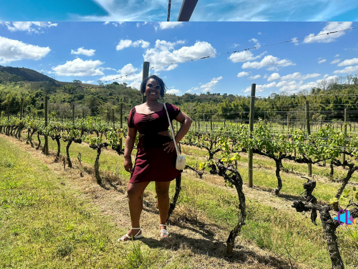 Parreiras da vinícola Inconfidência
