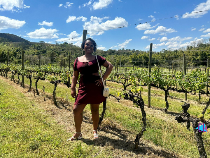 parreiras da Vinícola Inconfidência