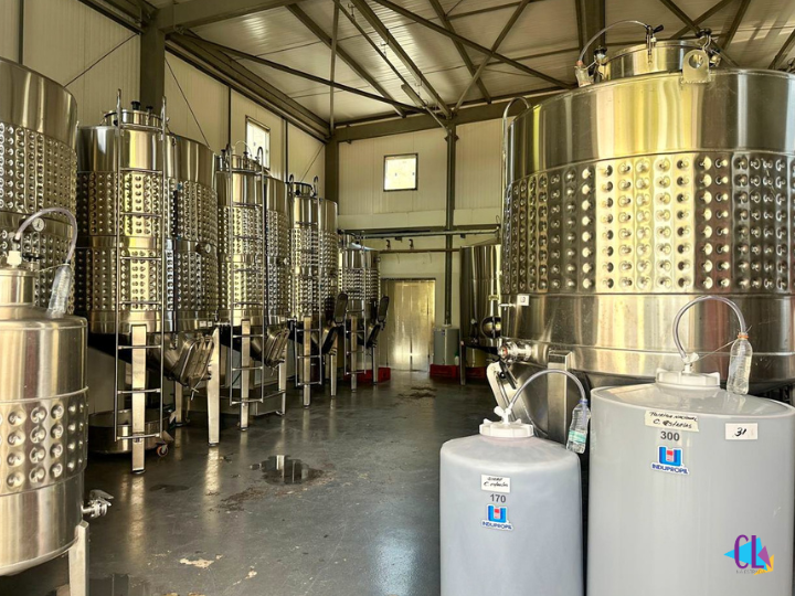 Processo de Produção da Vinícola Inconfidência