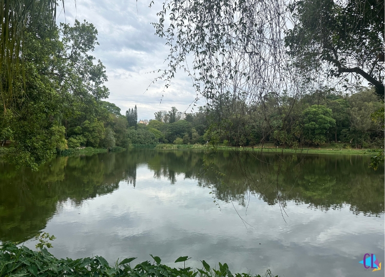parque da aclimação são paulo (1)