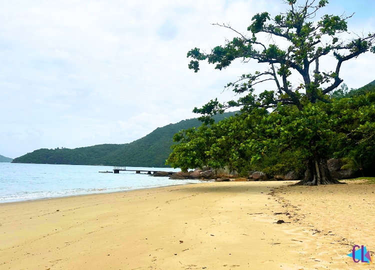 Praia do engenho mamanguá